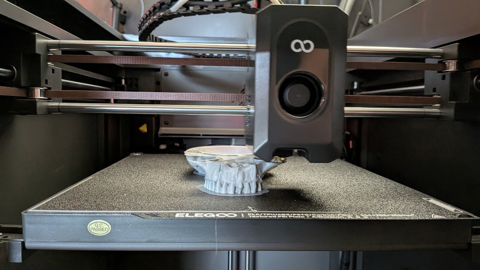 elegoo 3d printer making a skull
