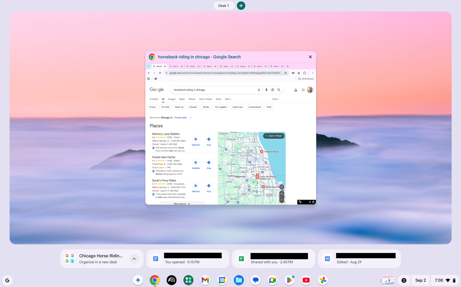 a screenshot of a chromebook desktop