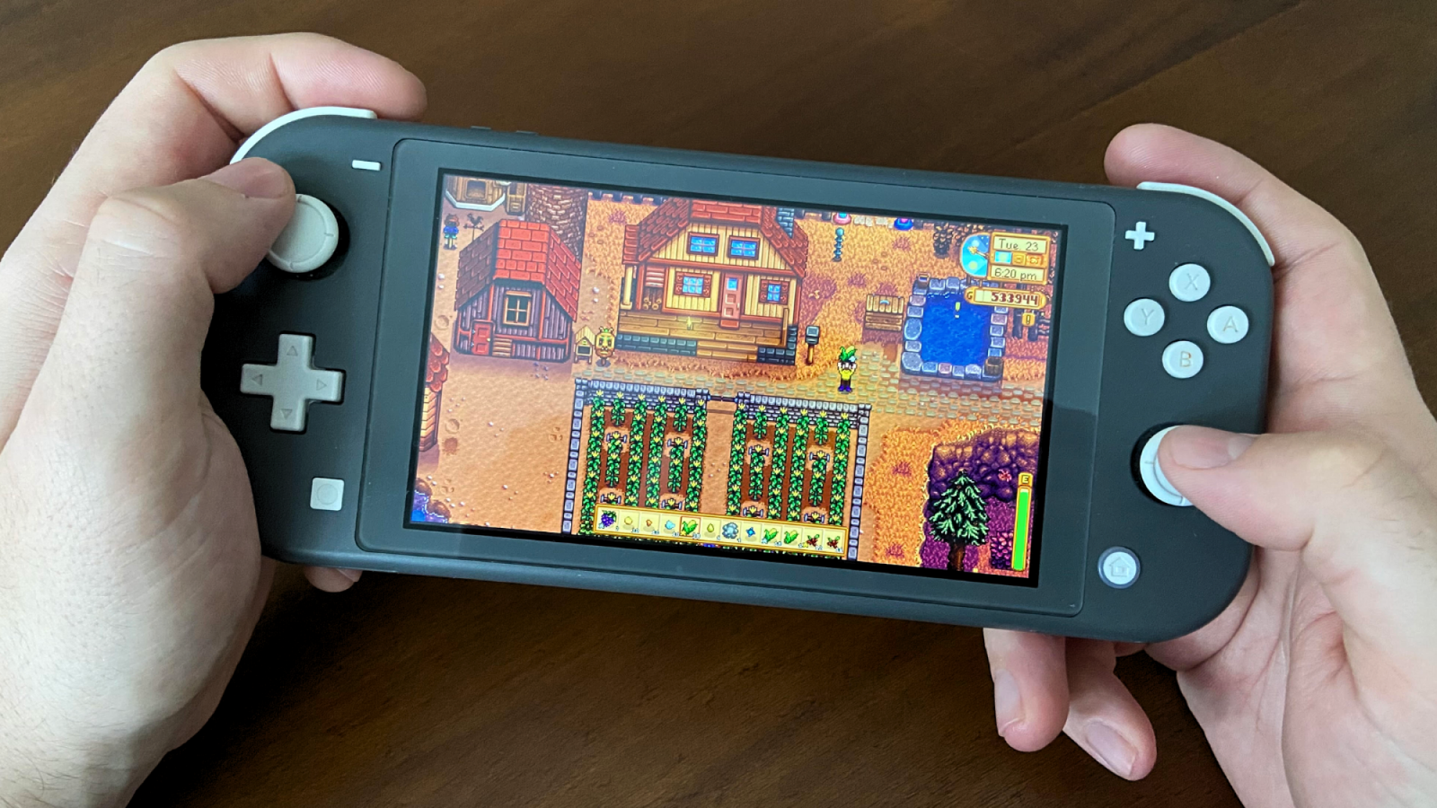 a close-up of a person playing stardew valley on a nintendo switch lite