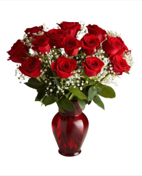 Vase of red roses and baby's breath