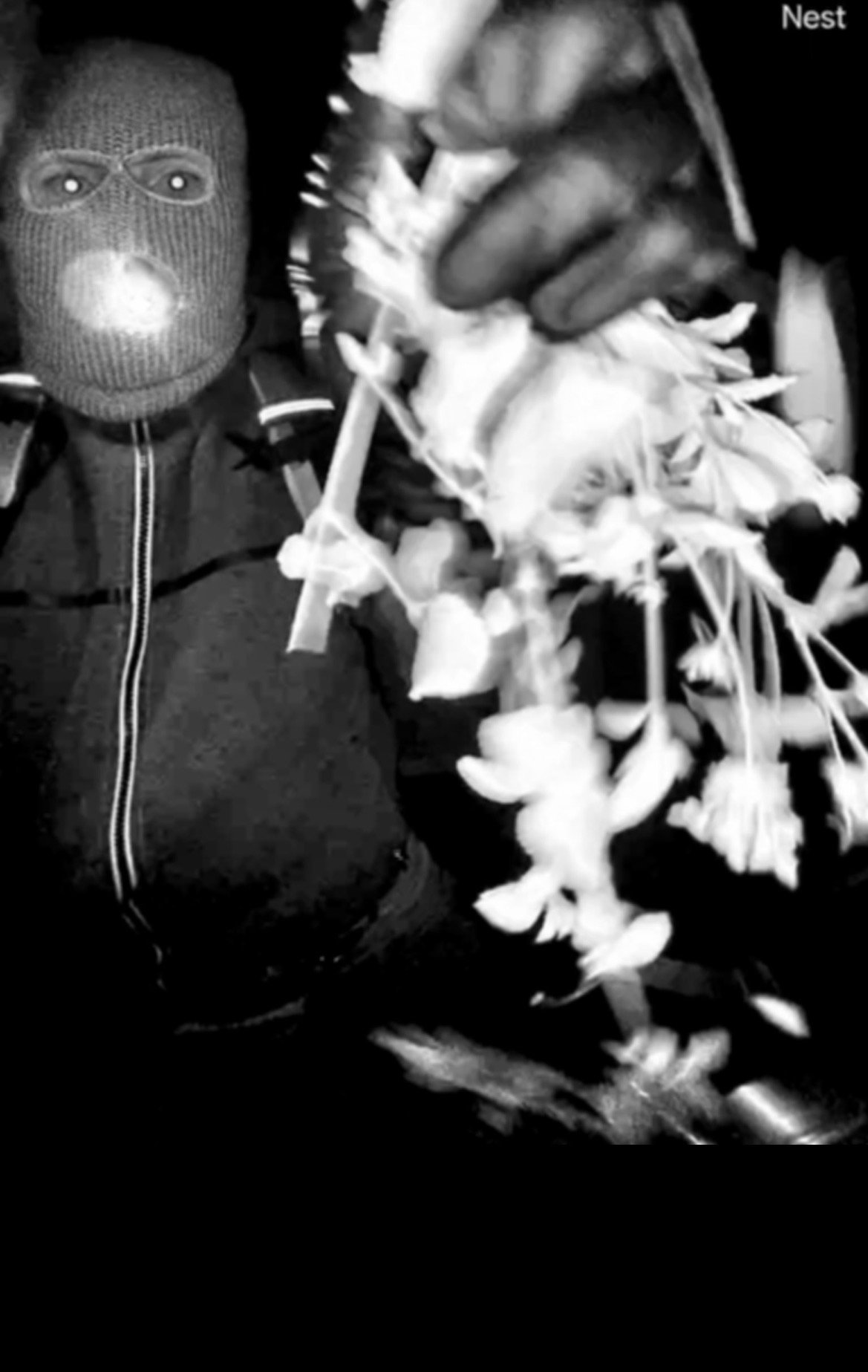 Masked individual holding a bouquet of flowers in a dark environment, captured by a security camera.