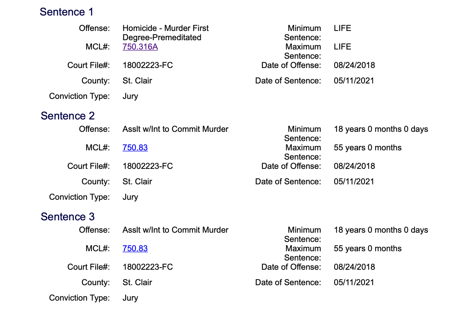 Court document detailing sentences for homicide and assault charges in St. Clair County, including minimum and maximum sentences and conviction types.